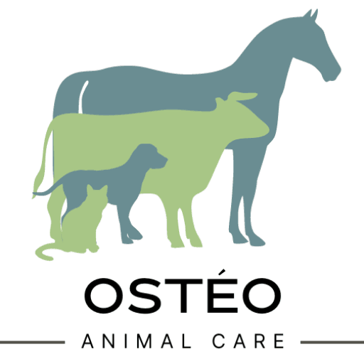 Logo Ostéo Animal'Care