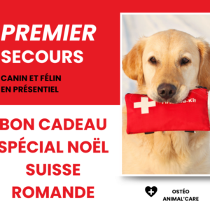 Stage de secourisme canin et félin Suisse Romande - Stage de Secourisme Canin et Félin en Suisse Romande – Genève, Lausanne, Martigny