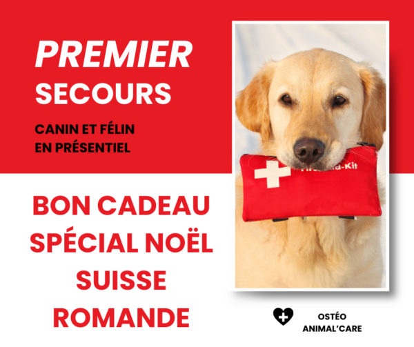 Stage de secourisme canin et félin Suisse Romande - Stage de Secourisme Canin et Félin en Suisse Romande – Genève, Lausanne, Martigny