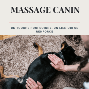 Ebook – Guide pour apprendre à masser son chien