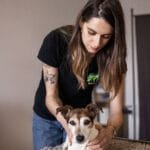 Isabelle Fourcade - Ostéo Animal'care