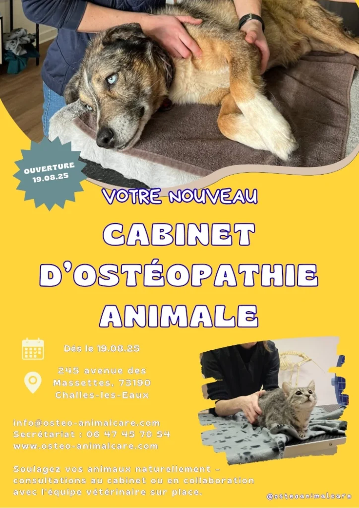 Cabinet Médipole - Ostéo Animal'care